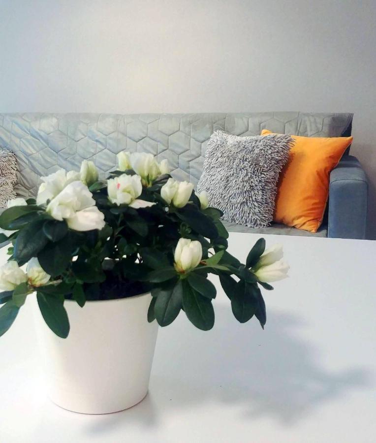 Bel Mare Wyspa, Apartament Z Parkingiem Gratis Miedzyzdroje Esterno foto